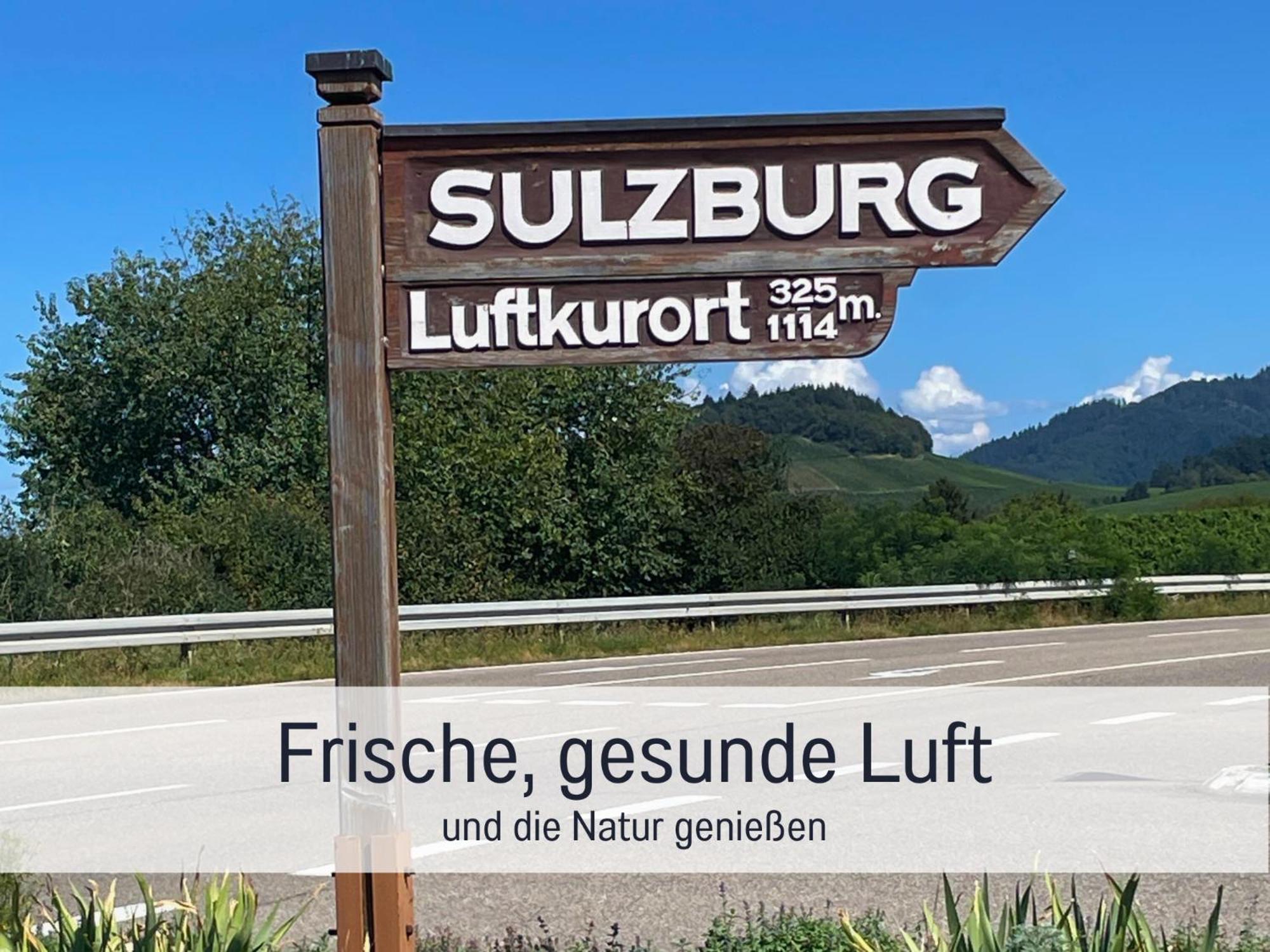 Ferienwohnungen Auszeit Langmatt Sulzburg Extérieur photo