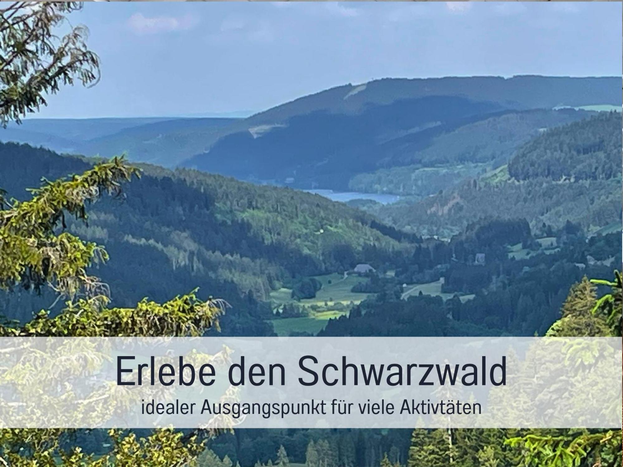 Ferienwohnungen Auszeit Langmatt Sulzburg Extérieur photo