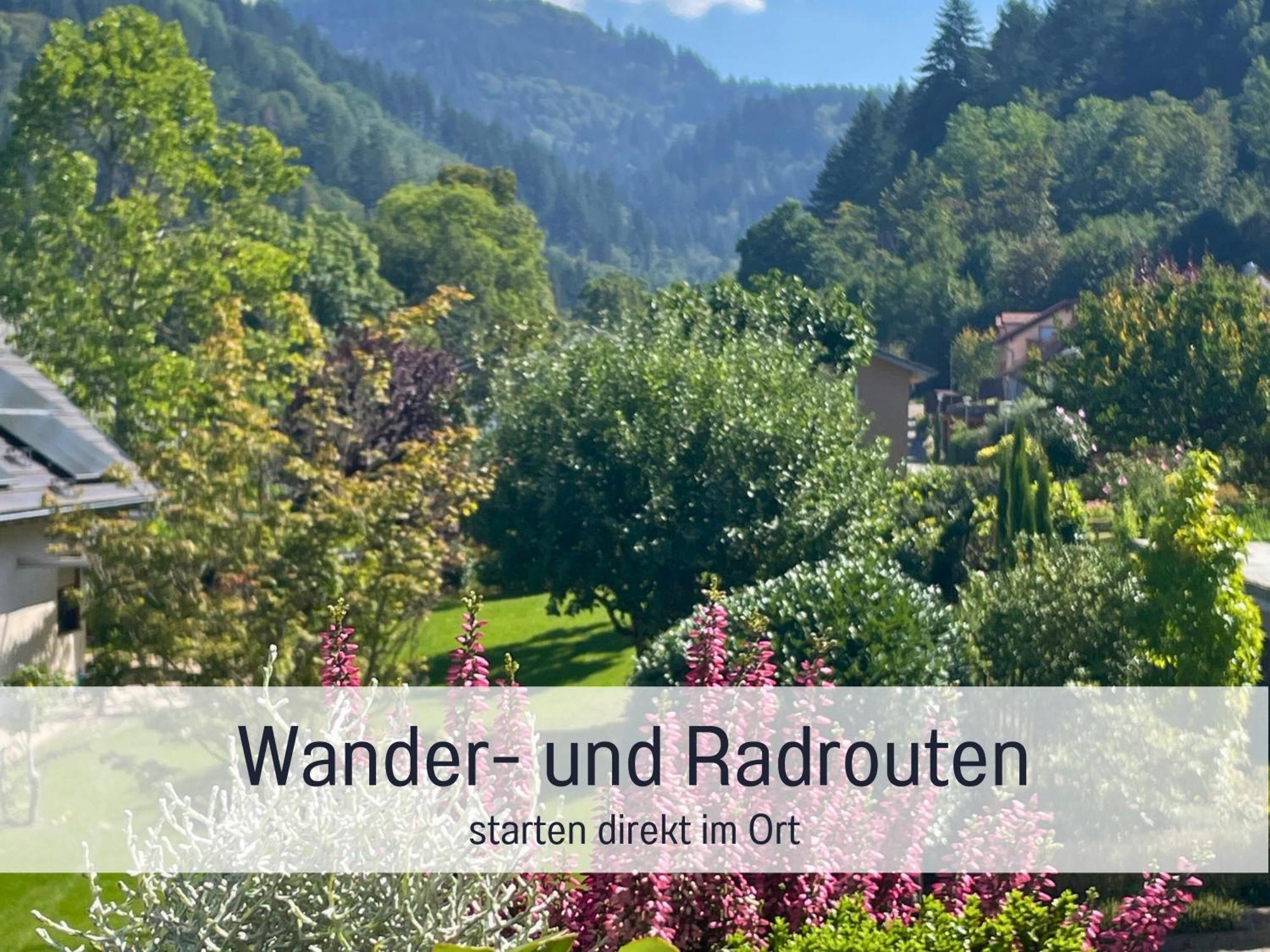 Ferienwohnungen Auszeit Langmatt Sulzburg Extérieur photo