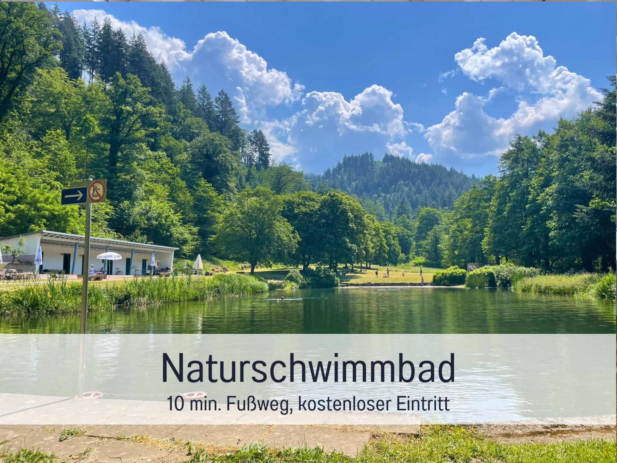 Ferienwohnungen Auszeit Langmatt Sulzburg Extérieur photo