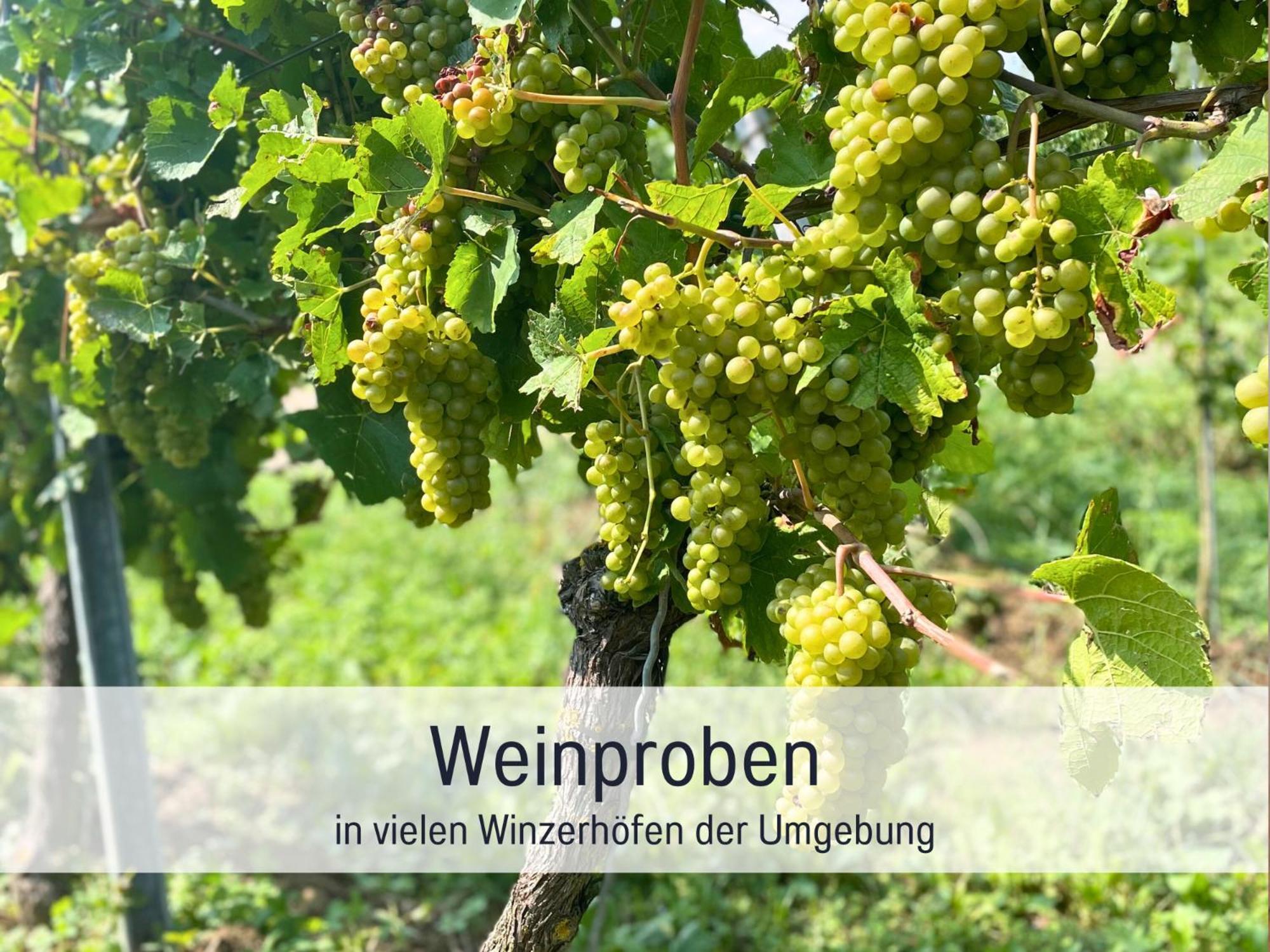 Ferienwohnungen Auszeit Langmatt Sulzburg Extérieur photo