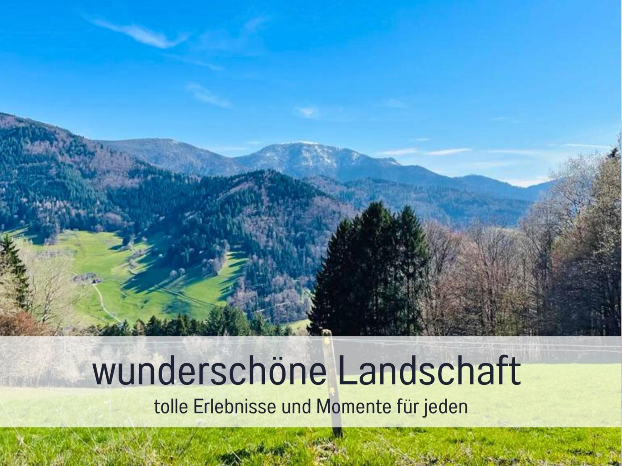Ferienwohnungen Auszeit Langmatt Sulzburg Extérieur photo