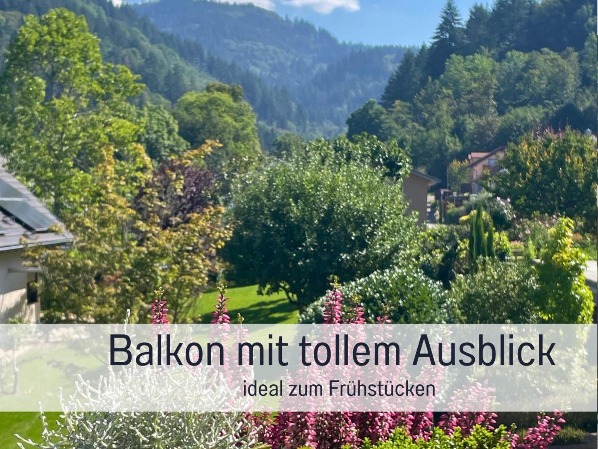 Ferienwohnungen Auszeit Langmatt Sulzburg Extérieur photo